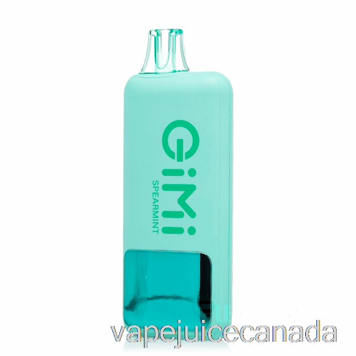 Vape Juice Flum Gimi 8500 Smart Disposable Spearmint